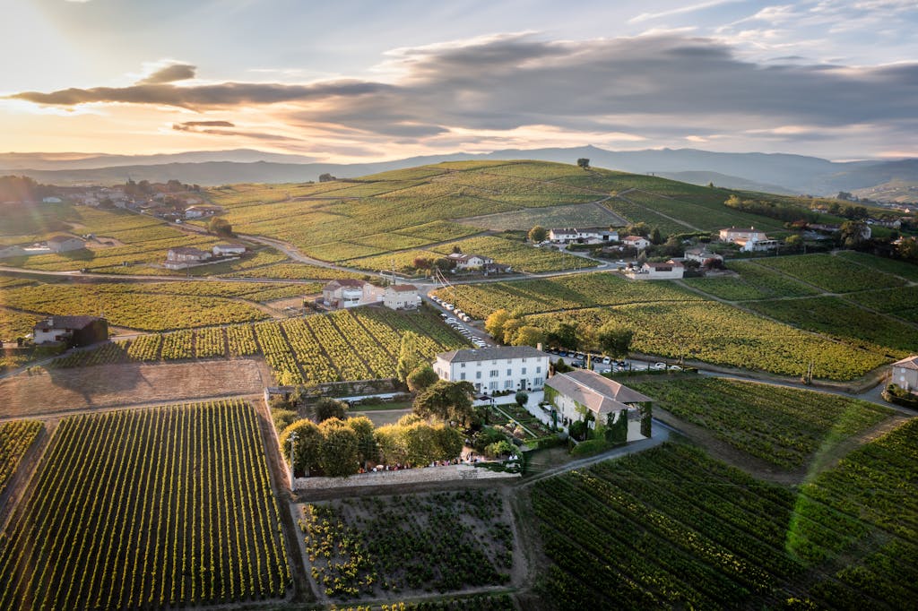 Beautiful aerial view of vineyards in Villié-Morgon during sunset, showcasing rural landscapes.