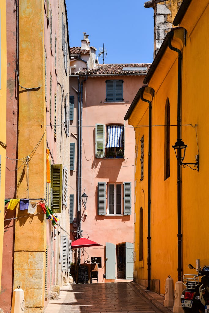 Free stock photo of bormes les mimosas, europe, france