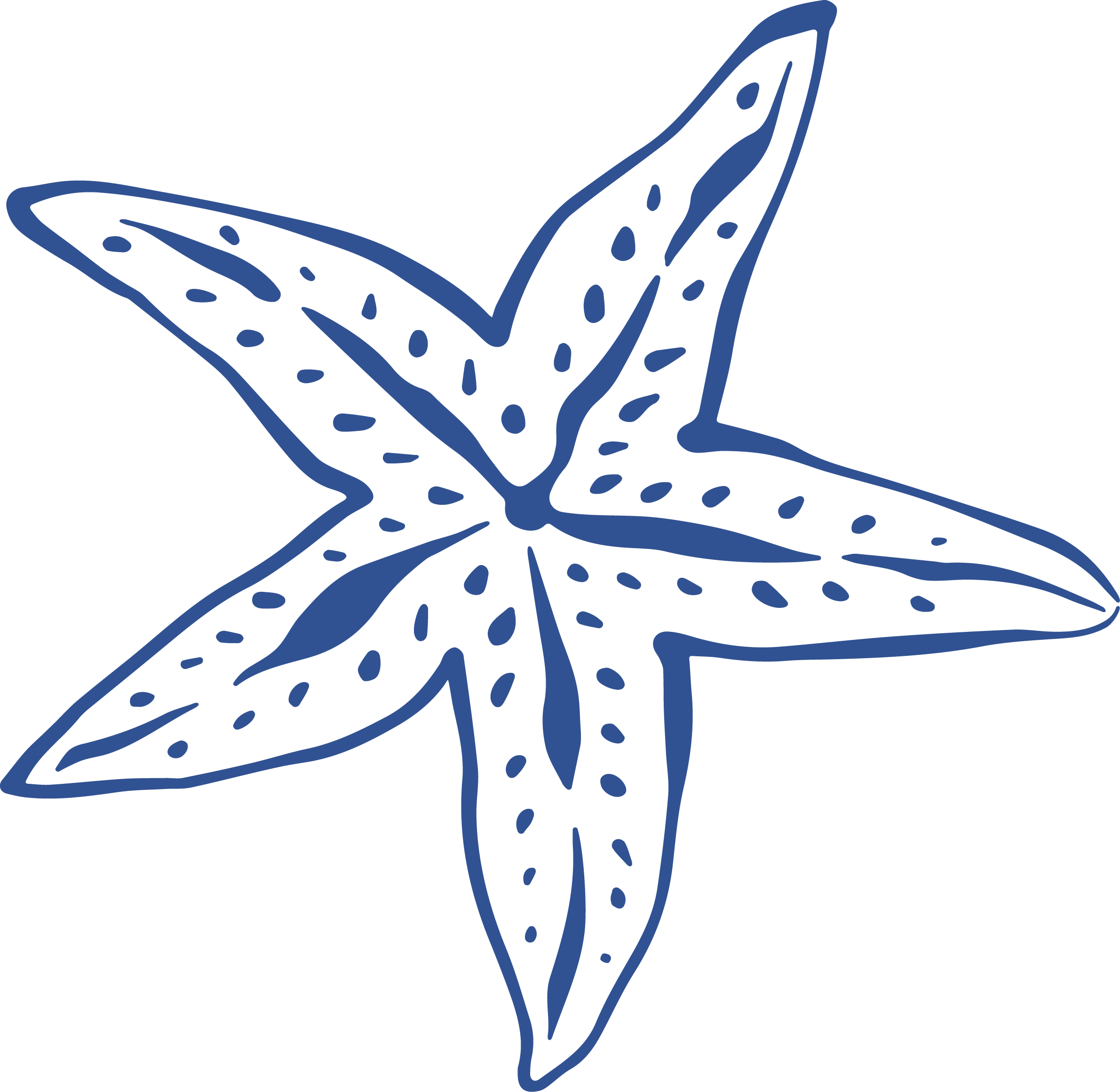 blue coastal star fish illustration