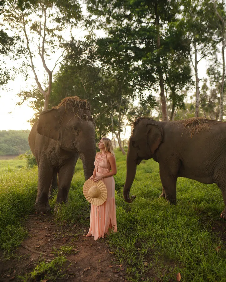 woman in jungle with two elefants