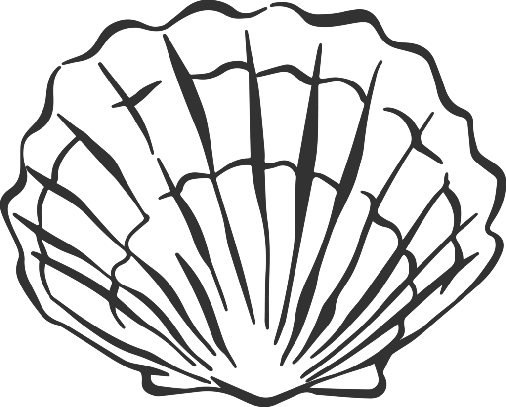 Illustration of scallop shaped sea shell