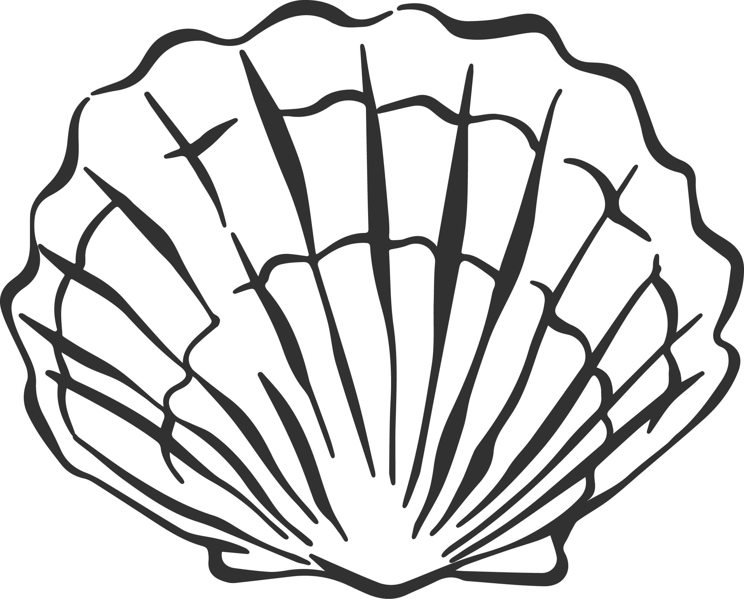 Illustration of scallop shaped sea shell