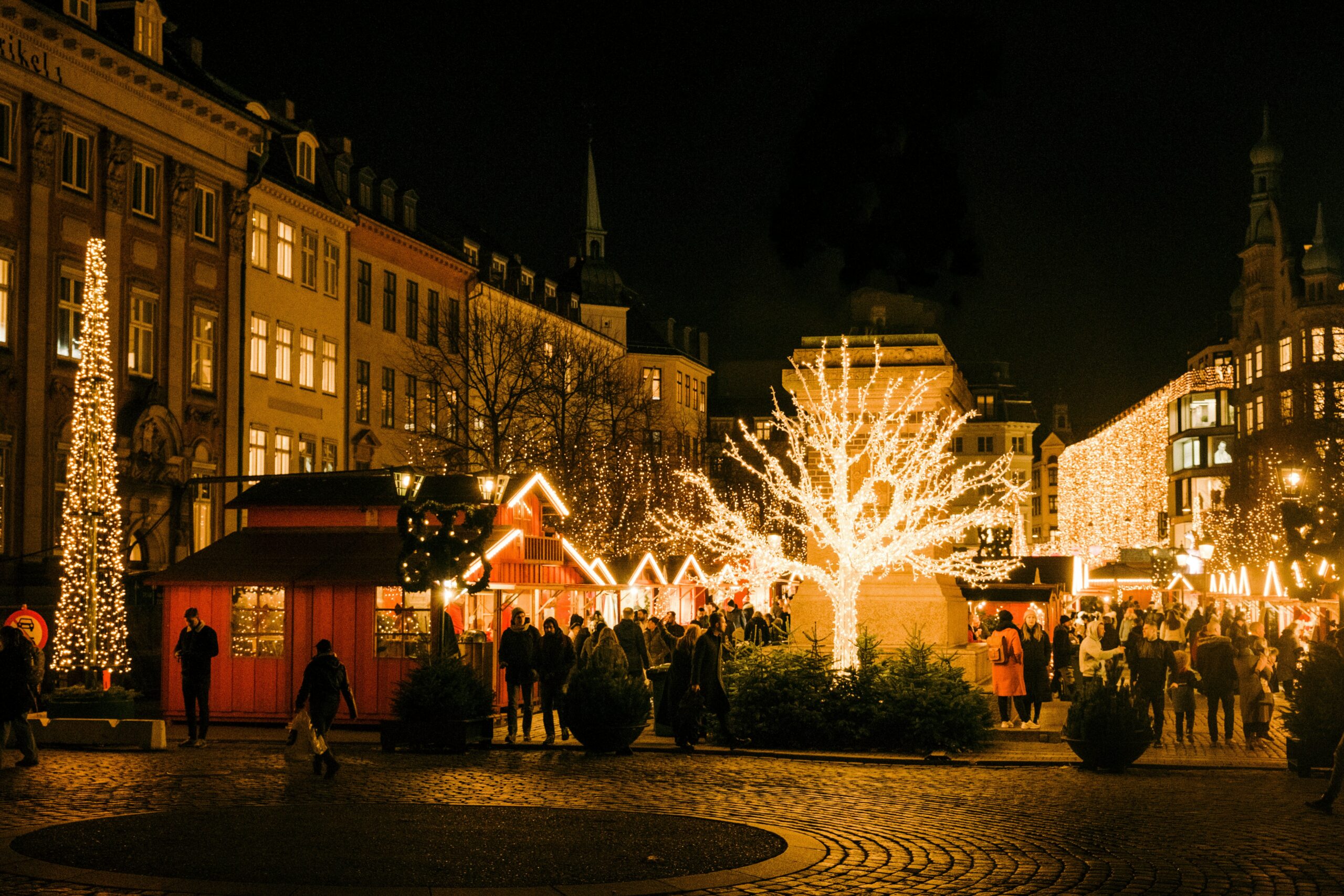 colin-meg-nGEvH71owQ0-unsplash(1)