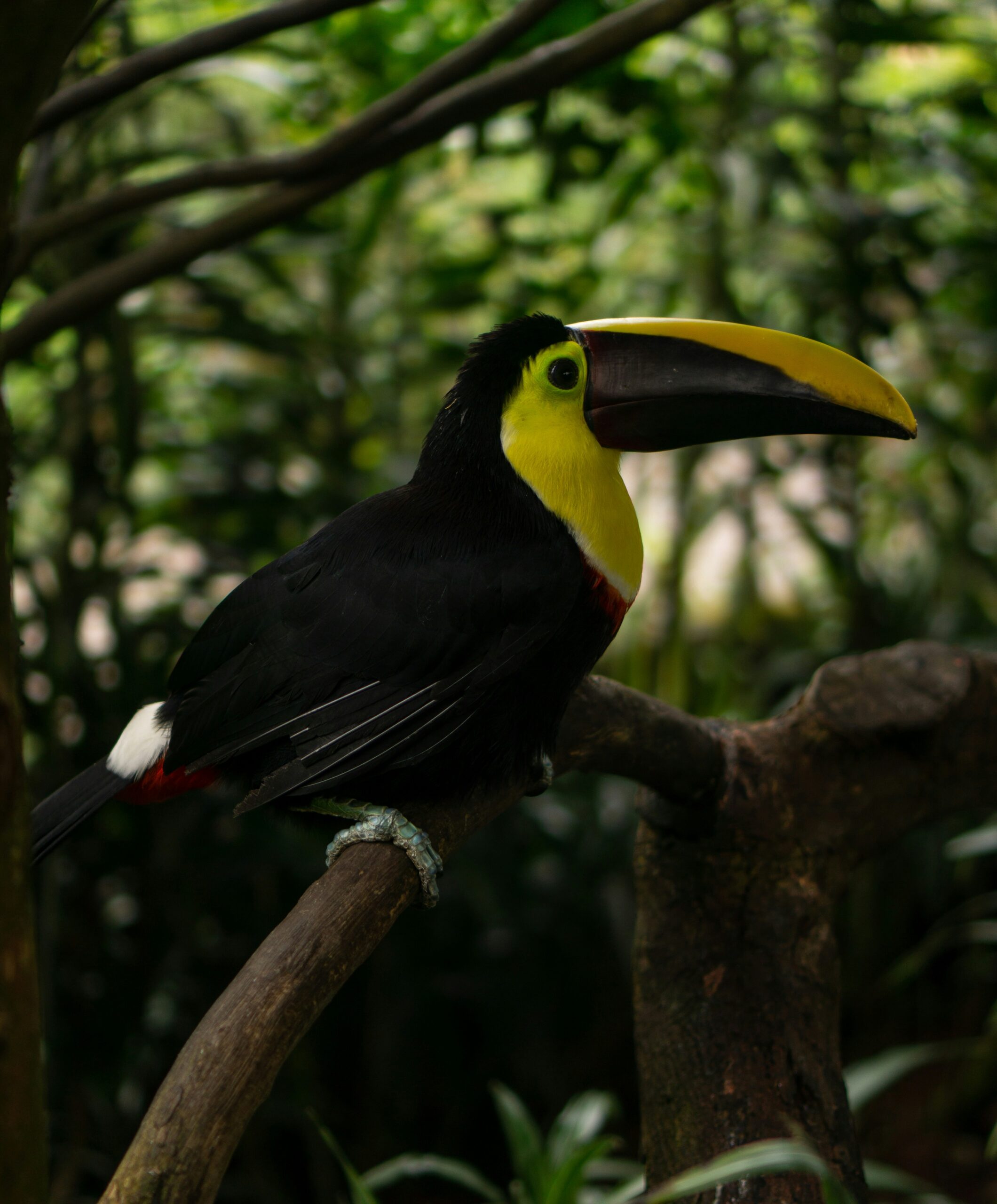 michael-romanov-lgZobZ1JVvM-unsplash