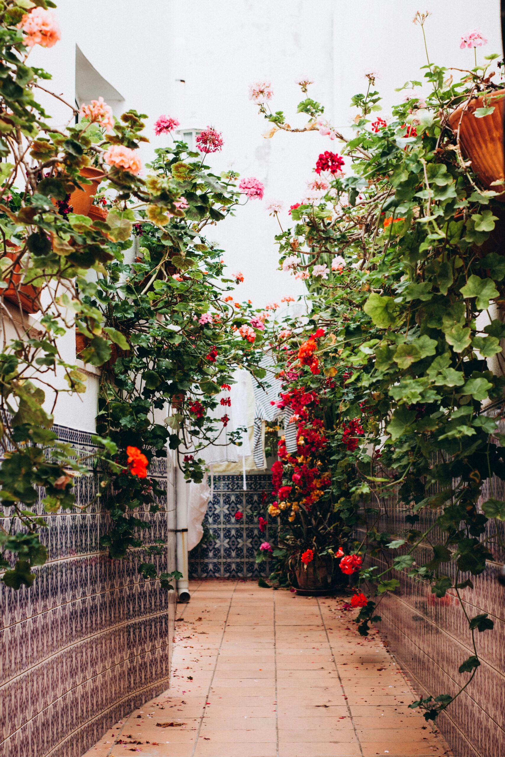 olivie-strauss-jTMZitaP5Dw-unsplash